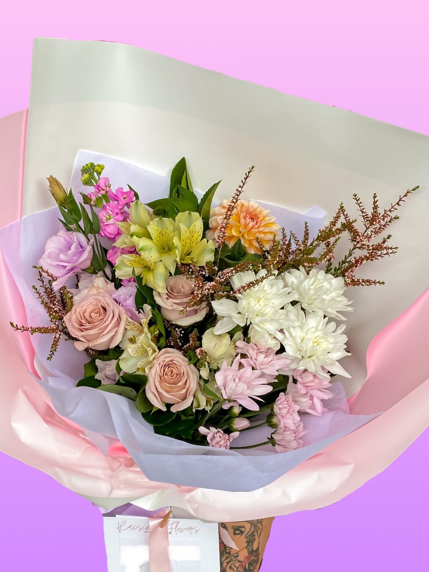 SOFT COLOUR