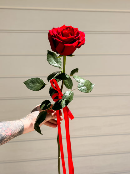 VALENTINE'S ROSE STEMS